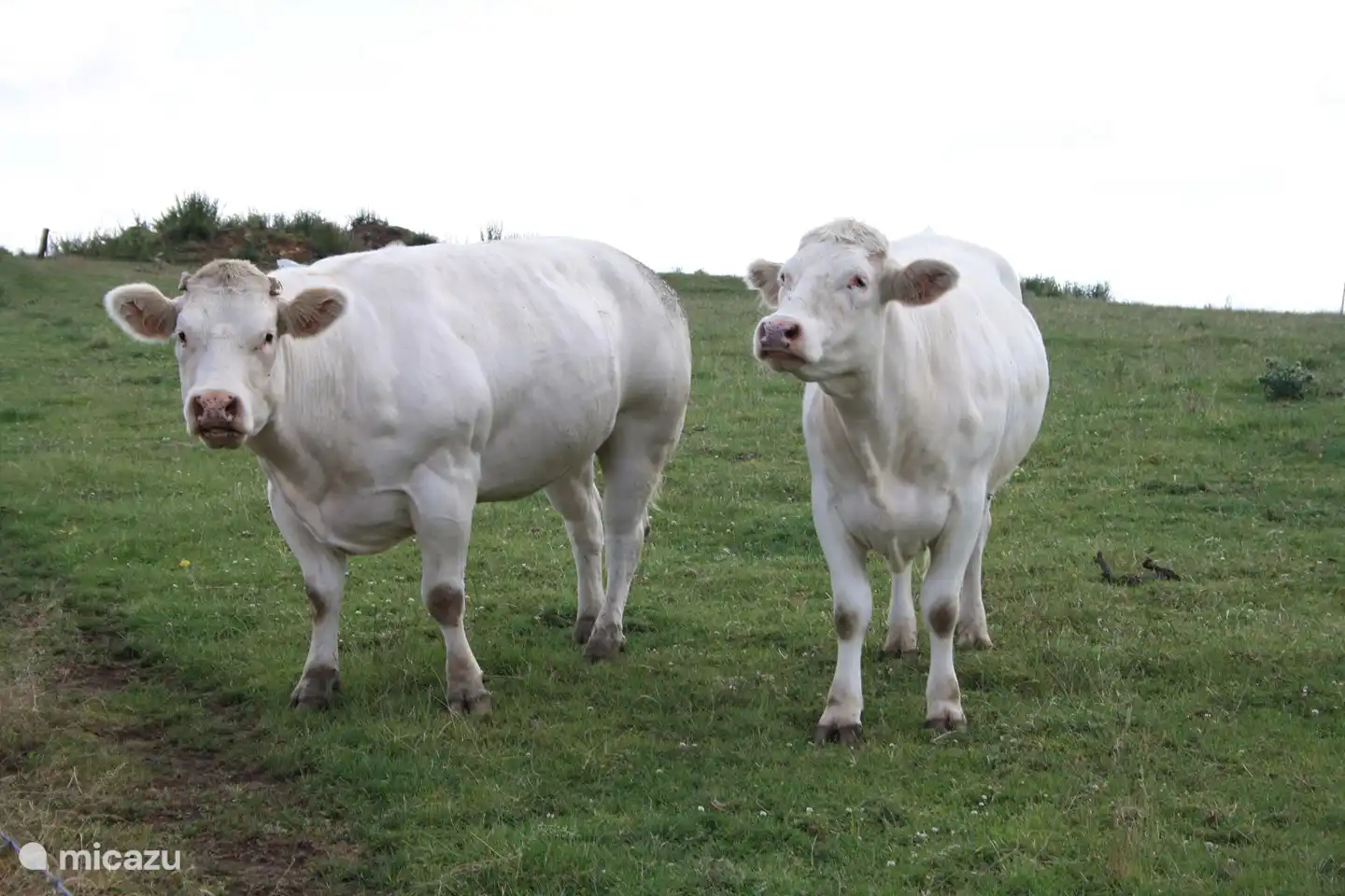 viele Wandergebiete in der Nähe