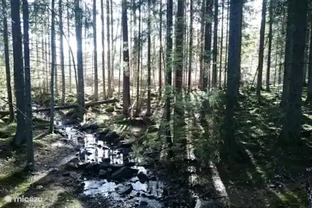 Vakantiehuis Zweden, Småland, Fröseke vakantiehuis Fröseke Skolan