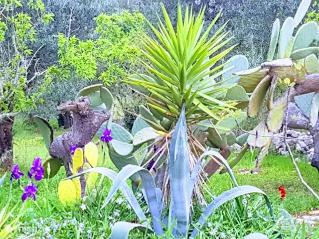 Trullino Blanc | Italie, Pouilles (Puglia), Ostuni - villa Jardin