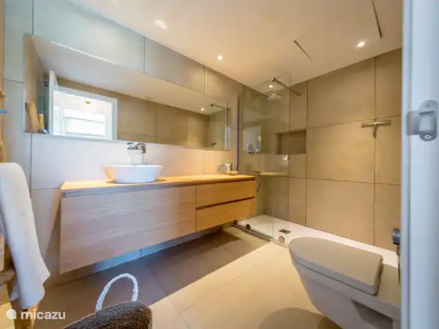 appartement huren in Spanje, Ibiza, Sant Josep de sa Talaia – Papillon Ibiza