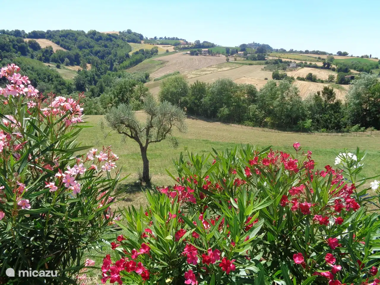 Des kilomètres de vues lointaines sur les collines autour de Casa Belmonte donnent une sensation merveilleusement relaxante.