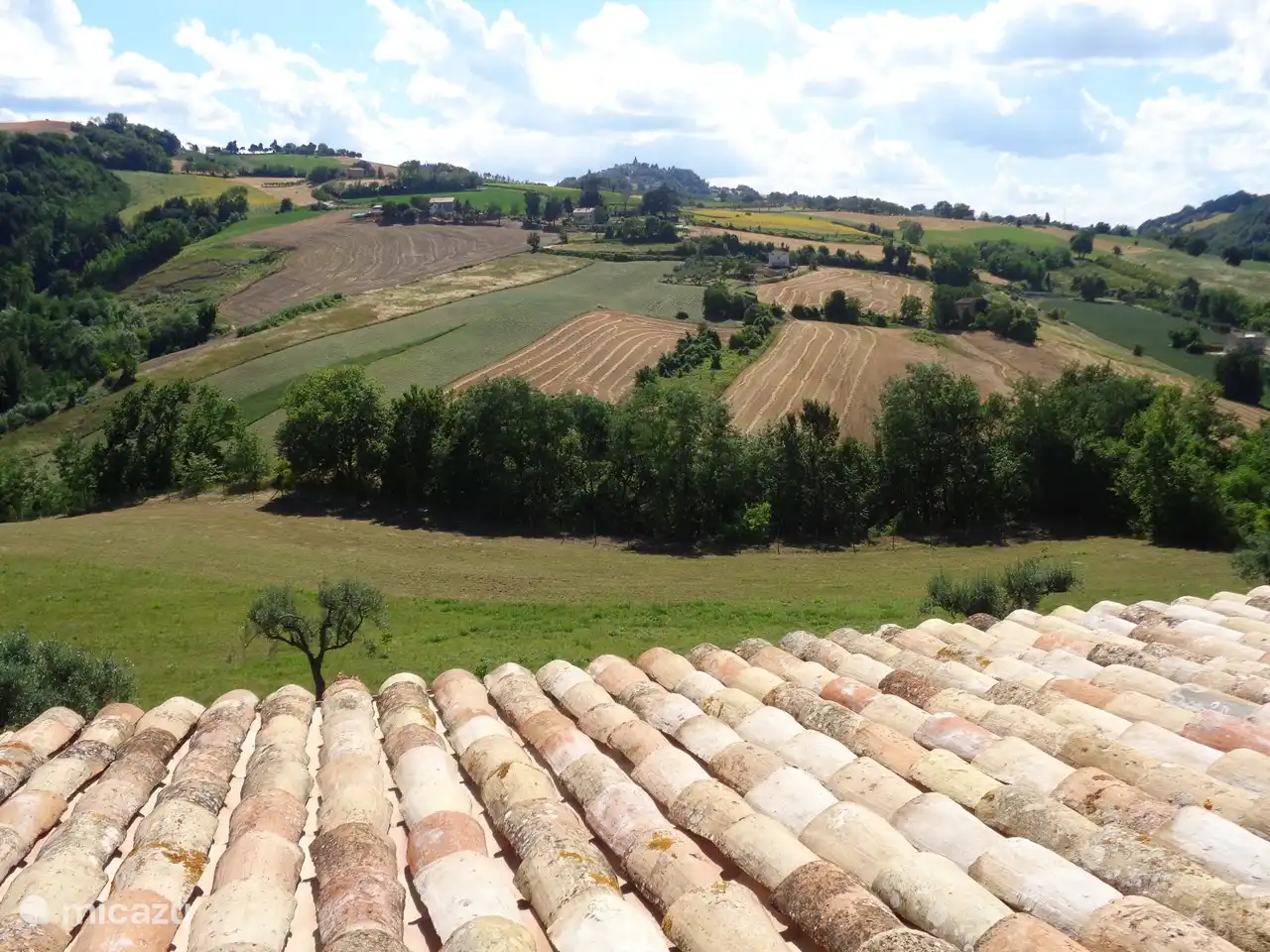 Vue sur le village de Montelparo et les nombreux champs colorés depuis Casa Belmonte.