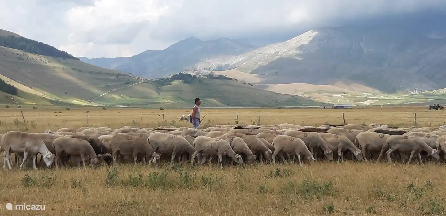 Le 'Piano Grande' - Castellucio