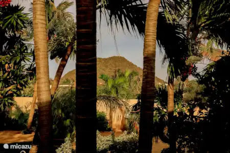 Ferienwohnung Aruba, Paradera, Paradera appartement Luxuriöse Gartenwohnung