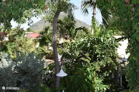 Ferienwohnung Aruba, Paradera, Paradera appartement Luxuriöse Gartenwohnung
