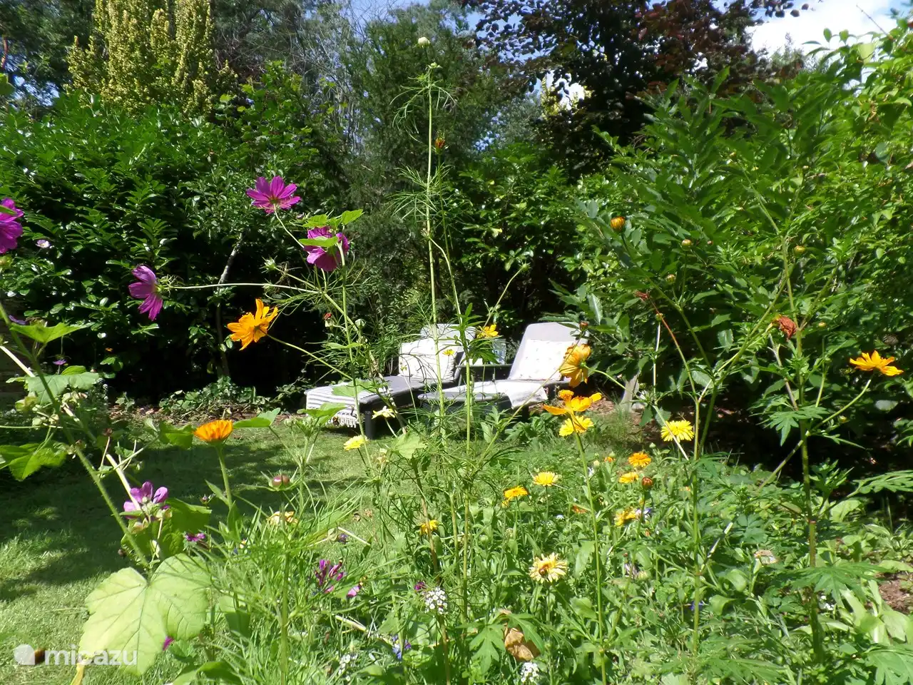 Garten auf der Sonnenseite