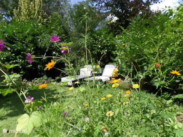 Location de Vacances Pays-Bas, Overijssel, Holten, bungalow - Yocasa Jardin ensoleillé