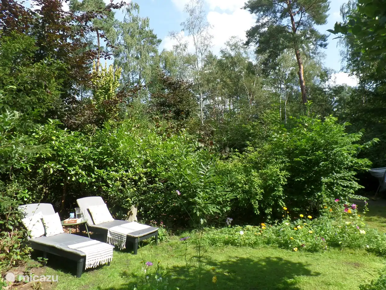 Sonniger Garten mit Sonnenliegen