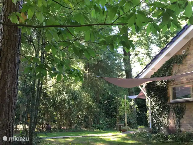 Location de Vacances Pays-Bas, Overijssel, Holten, bungalow - Yocasa Derrière la maison