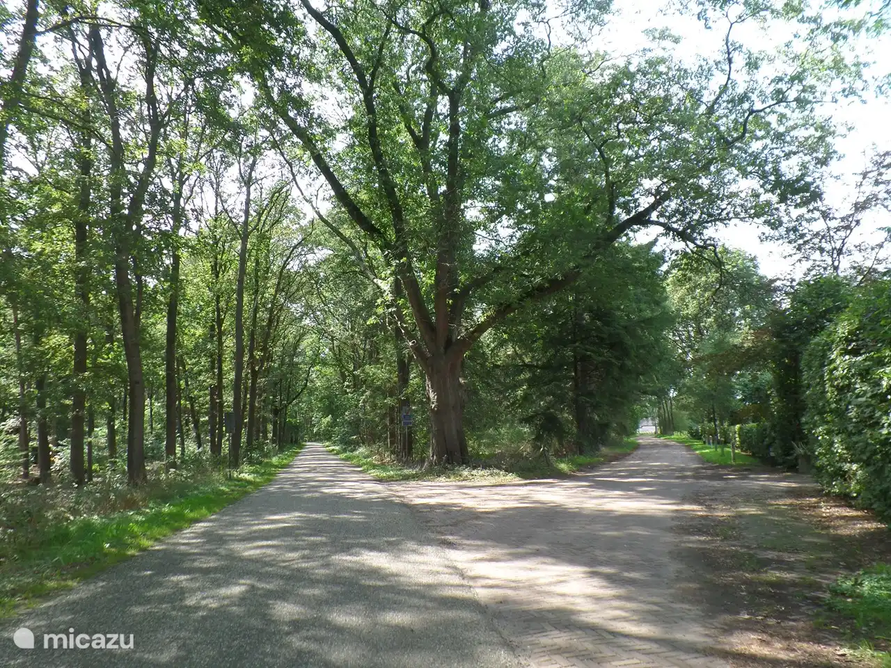 Schöne Radwege in der Nähe