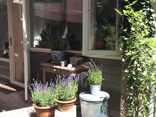 Location de Vacances Pays-Bas, Overijssel, Holten, bungalow - Yocasa Terrasse avant
