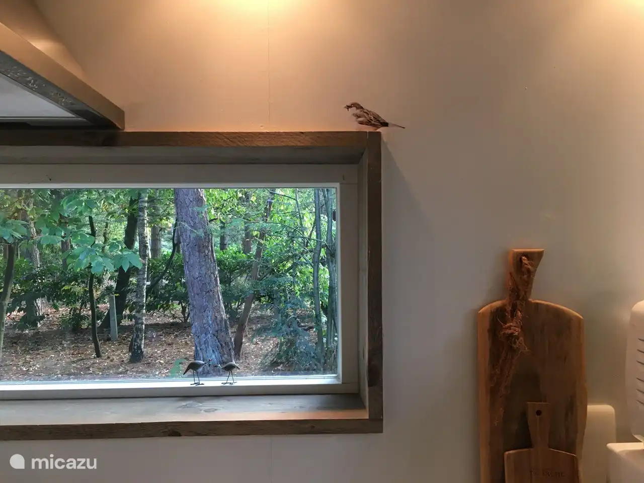 Blick auf den Hinterhof