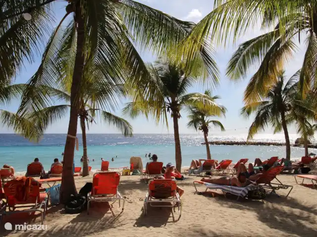 Location de Vacances Curaçao, Curaçao-Centre, Blue Bay, villa - Villa BlueBay à 50m de la plage des palmiers L'une des cinq plus belles plages des Caraïbes selon le Huffington Post. Les chaises longues sont gratuites pour les clients !