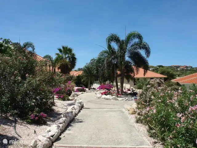 Location de Vacances Curaçao, Curaçao-Centre, Blue Bay, villa - Villa BlueBay à 50m de la plage des palmiers Sur le chemin de la piscine, marchez 100m plus loin...