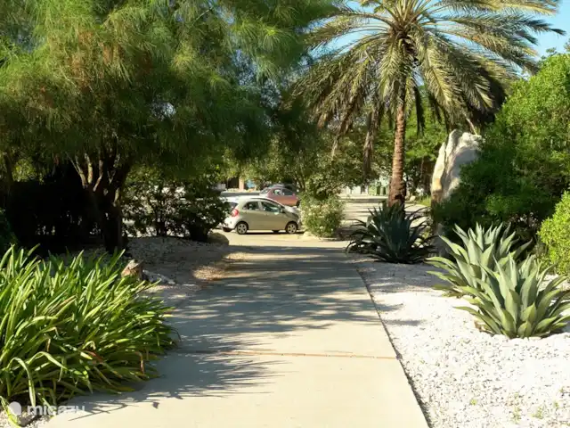 Location de Vacances Curaçao, Curaçao-Centre, Blue Bay, villa - Villa BlueBay à 50m de la plage des palmiers Votre voiture est à 40m de votre villa..