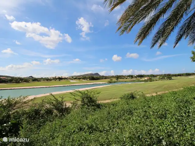 Location de Vacances Curaçao, Curaçao-Centre, Blue Bay, villa - Villa BlueBay à 50m de la plage des palmiers Vue sur le golf et l'étang avec des flamants roses et des pélicans