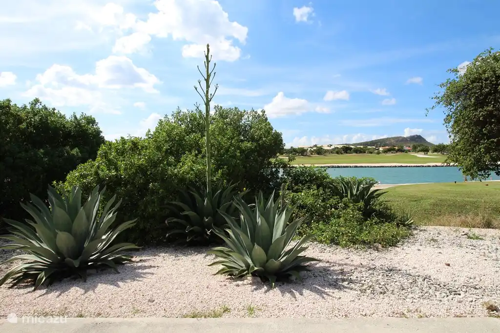 View footpath between villa and beach