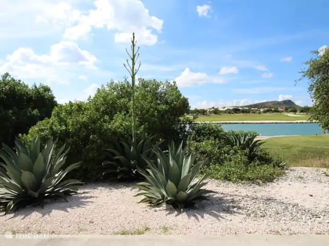 Location de Vacances Curaçao, Curaçao-Centre, Blue Bay, villa - Villa BlueBay à 50m de la plage des palmiers Vue du sentier entre la villa et la plage