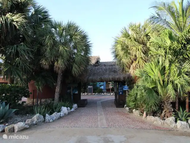 Location de Vacances Curaçao, Curaçao-Centre, Blue Bay, villa - Villa BlueBay à 50m de la plage des palmiers Accès plage à 50m de votre villa