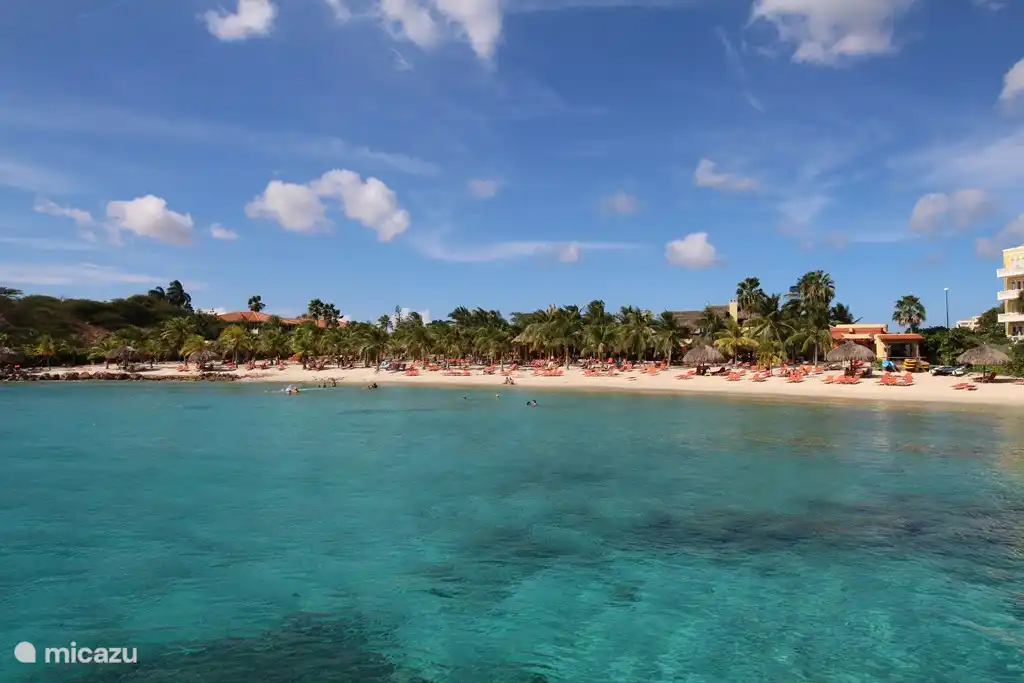 The beautiful palm beach is 75m from the villa.