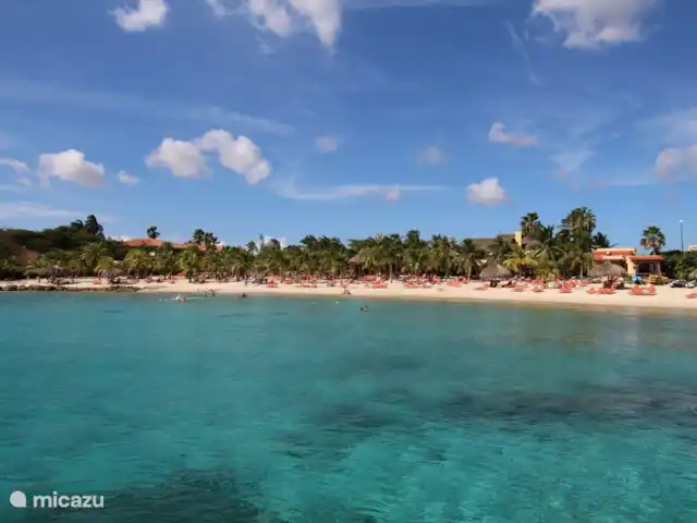 Location de Vacances Curaçao, Curaçao-Centre, Blue Bay, villa - Villa BlueBay à 50m de la plage des palmiers La belle plage de palmiers est à 75m de la villa.