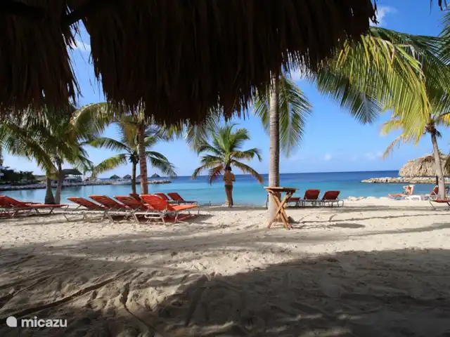 Location de Vacances Curaçao, Curaçao-Centre, Blue Bay, villa - Villa BlueBay à 50m de la plage des palmiers plage