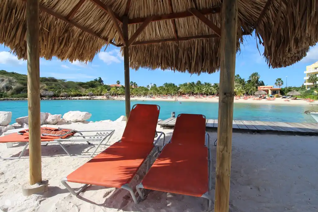 Lovely place in the shade..