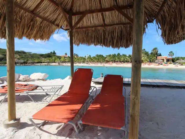 Location de Vacances Curaçao, Curaçao-Centre, Blue Bay, villa - Villa BlueBay à 50m de la plage des palmiers Bel endroit à l'ombre..