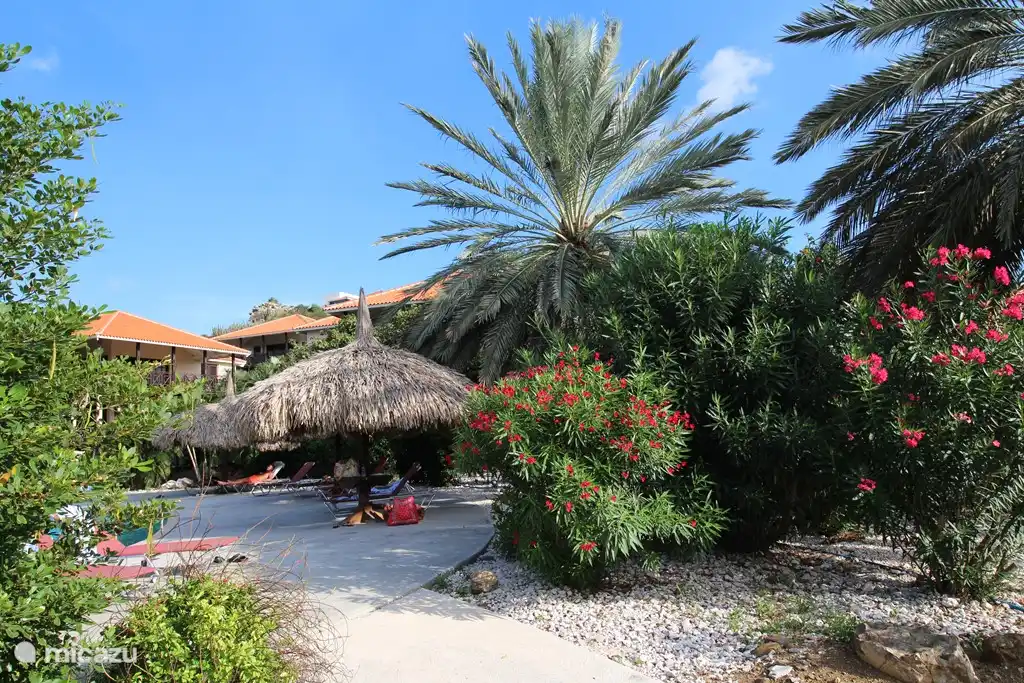 The beautiful swimming pool is wonderful, enjoying the tropical flowers ..