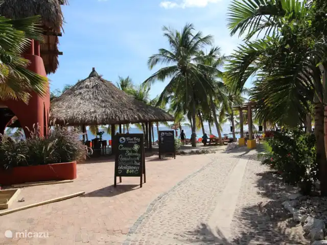 Location de Vacances Curaçao, Curaçao-Centre, Blue Bay, villa - Villa BlueBay à 50m de la plage des palmiers Restaurant à la plage sert du petit déjeuner au dîner