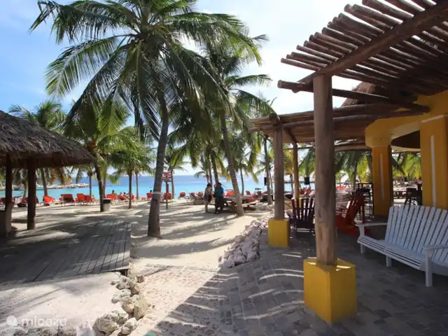 Location de Vacances Curaçao, Curaçao-Centre, Blue Bay, villa - Villa BlueBay à 50m de la plage des palmiers À la plage, vous pouvez visiter le bar-restaurant confortable Azuro toute la journée !
