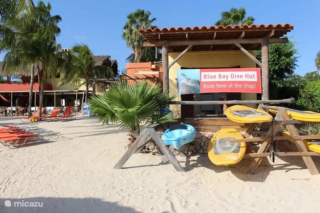 Dive shop on the beach where you can take diving lessons and buy or rent all equipment.