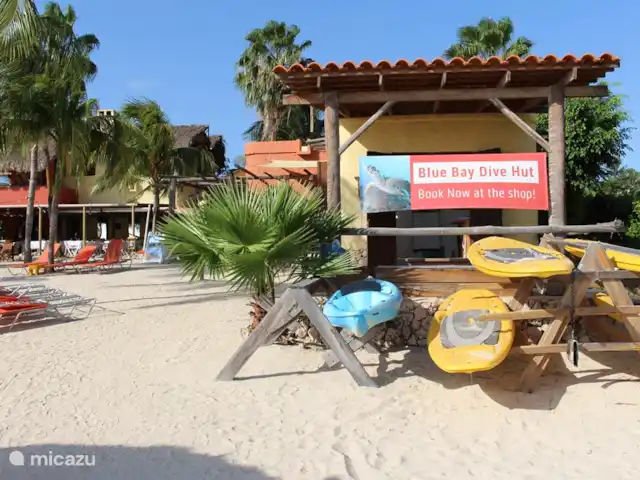 Location de Vacances Curaçao, Curaçao-Centre, Blue Bay, villa - Villa BlueBay à 50m de la plage des palmiers Boutique de plongée sur la plage où vous pouvez prendre des cours de plongée et acheter ou louer tout le matériel.