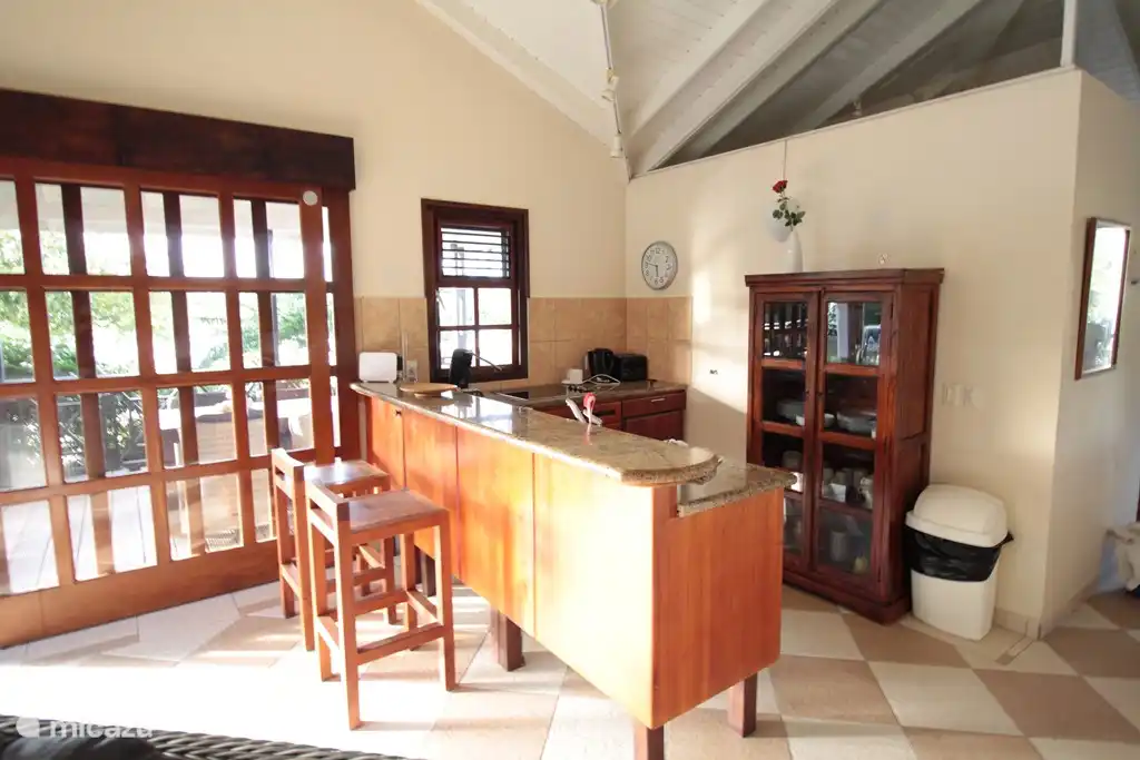 Bright sunny open kitchen with all kinds of facilities: dishwasher, food processor, Senseo coffee machine, microwave oven, mowing mix coffee machine