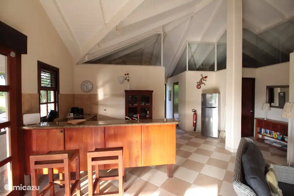 Bright kitchen, bookcase and modern blue tooth speaker for your music.