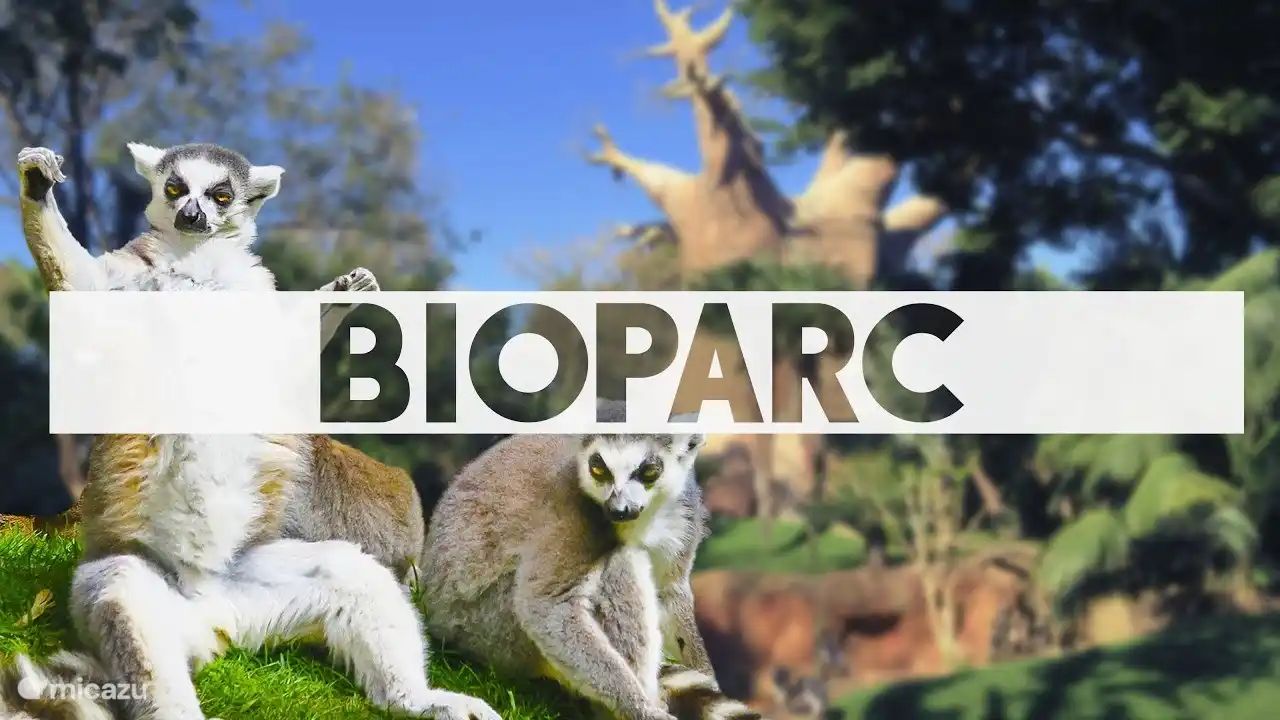 Attraction à proximité