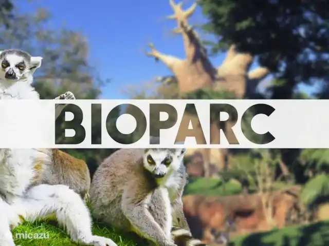 Piscina climatizada+jacuzzi+playa en España, Costa del Sol, Benalmádena - villa Atracciones cercanas