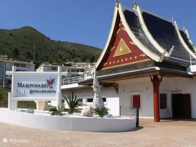 Piscina climatizada+jacuzzi+playa en España, Costa del Sol, Benalmádena - villa Pabellón Flinders en Benalmádena.