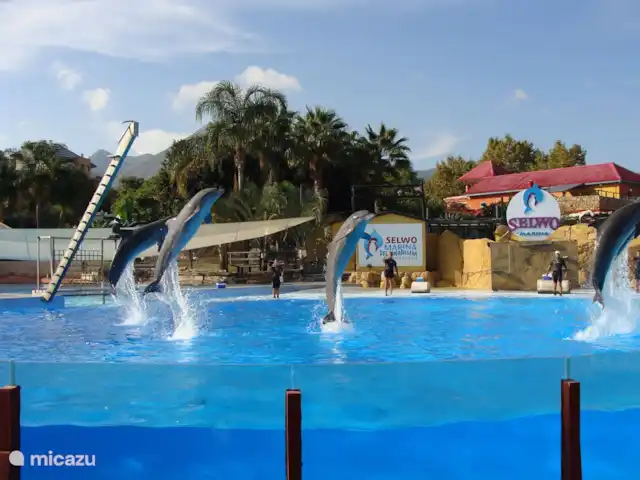 Piscina climatizada+jacuzzi+playa en España, Costa del Sol, Benalmádena - villa Atracciones cercanas