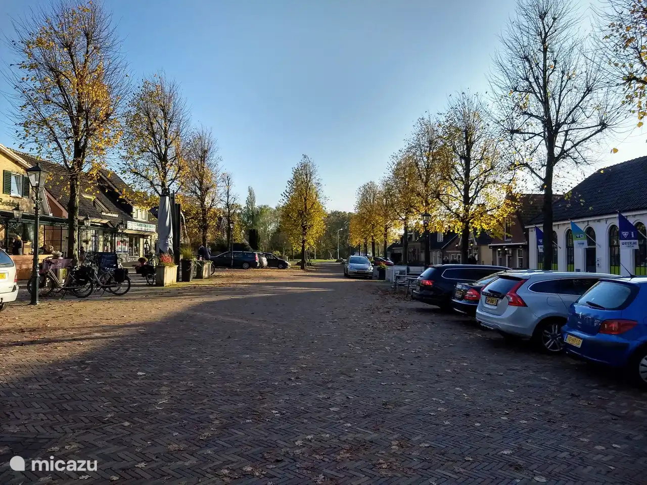 Herbst am Rande in Oudemirdum