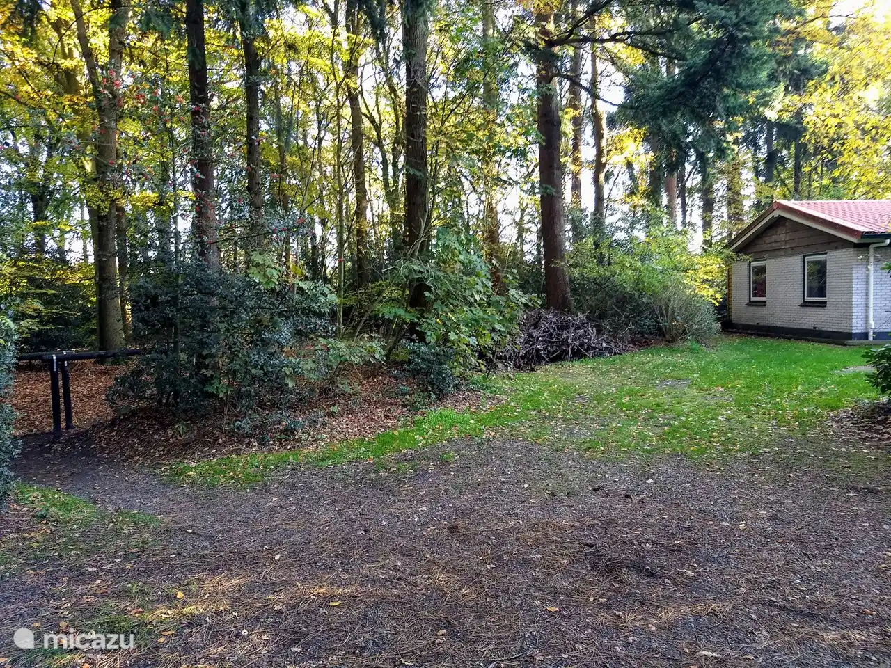 Von der Hütte den Eingang zum Wald
