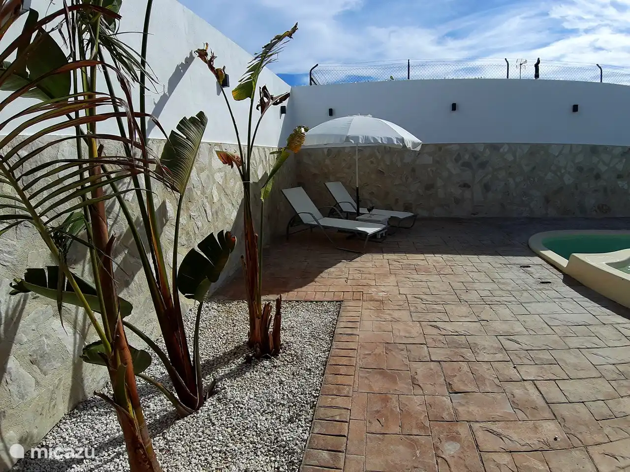 Garten (mit altem Swimmingpool)