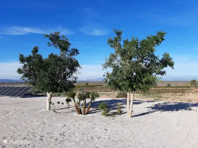 Casa Perdiz | Espagne, Costa Blanca, La Marina - finca grand parking à l'ombre des arbres