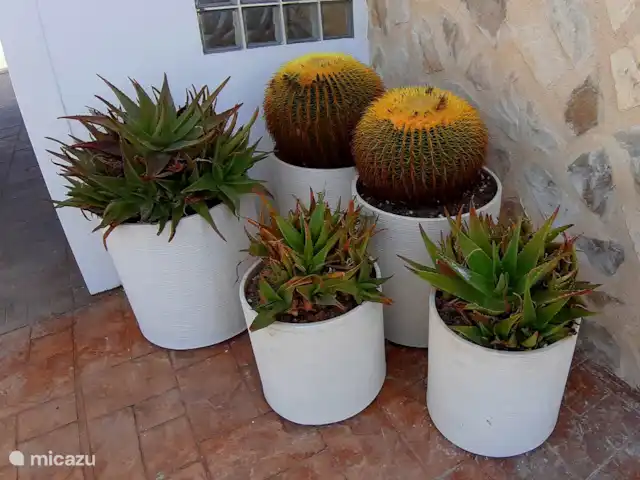 Casa Perdiz | Espagne, Costa Blanca, La Marina - finca Jardin