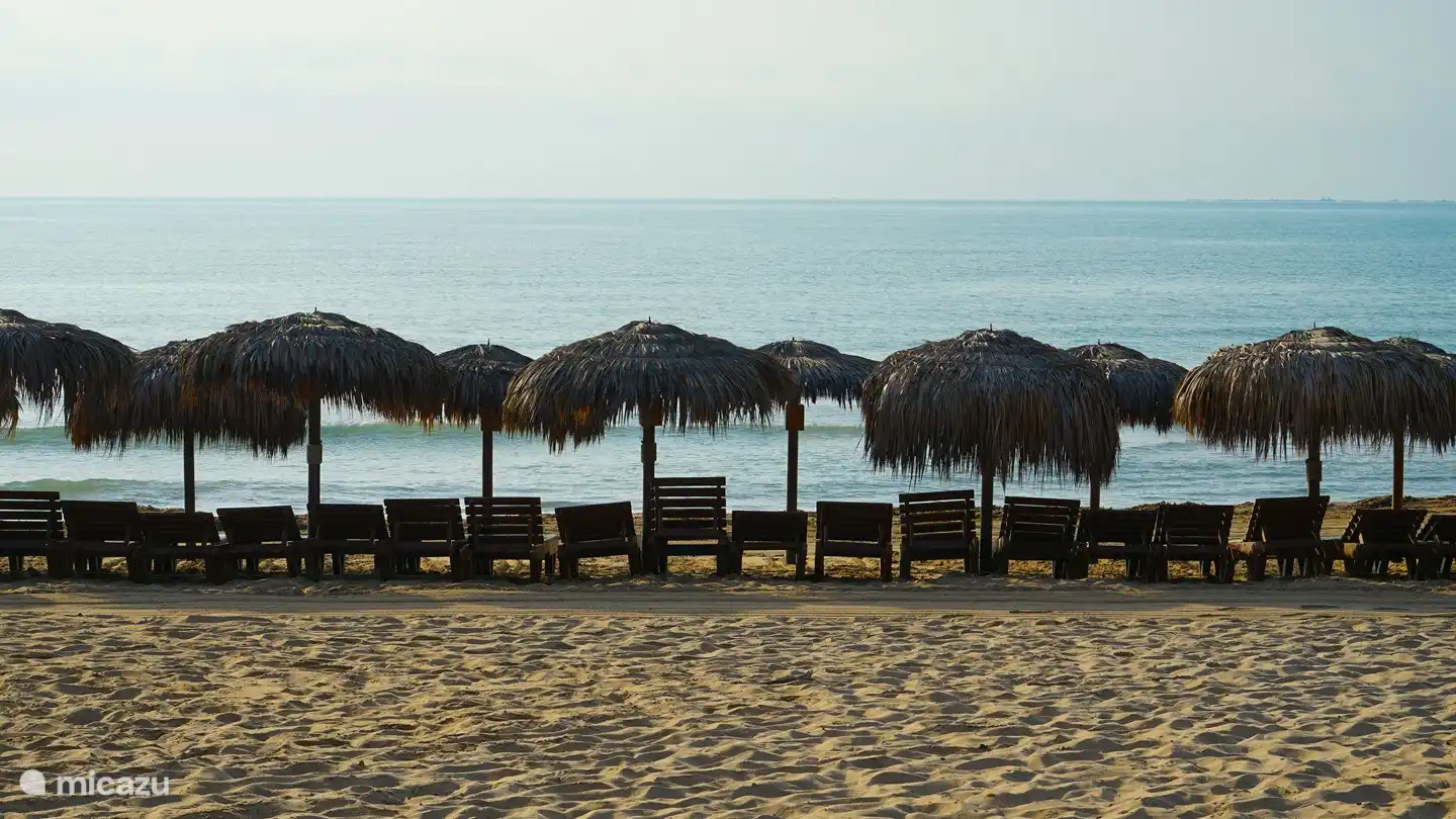 Strand von La Marina