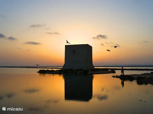 Casa Perdiz | Espagne, Costa Blanca, La Marina - finca Le soleil couchant sur le salar de Santa Pola