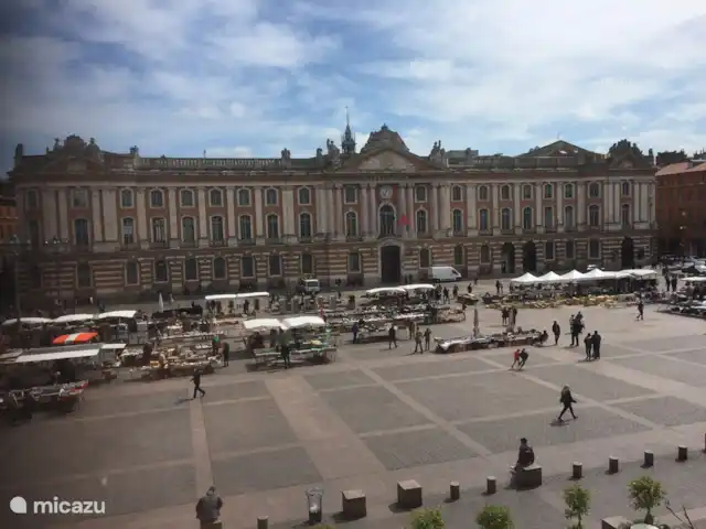 Location de Vacances France, Tarn-et-Garonne, Vigueron, studio - Escudes l'Oiseau Marché toulousain