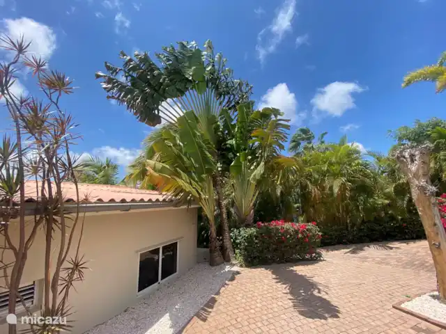 Location de Vacances Curaçao, Banda Ariba (est), Jan Thiel, appartement - Vacances à Curaçao adaptées aux enfants (4) piscine