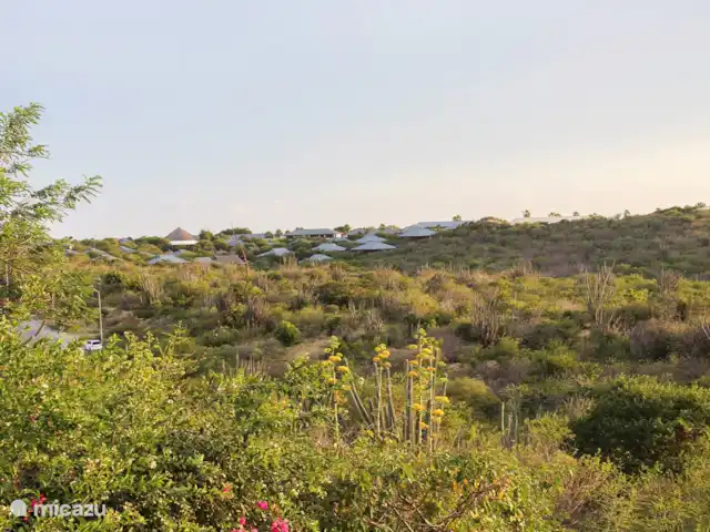 Location de Vacances Curaçao, Banda Ariba (est), Jan Thiel, appartement - Vacances à Curaçao adaptées aux enfants (4) voir
