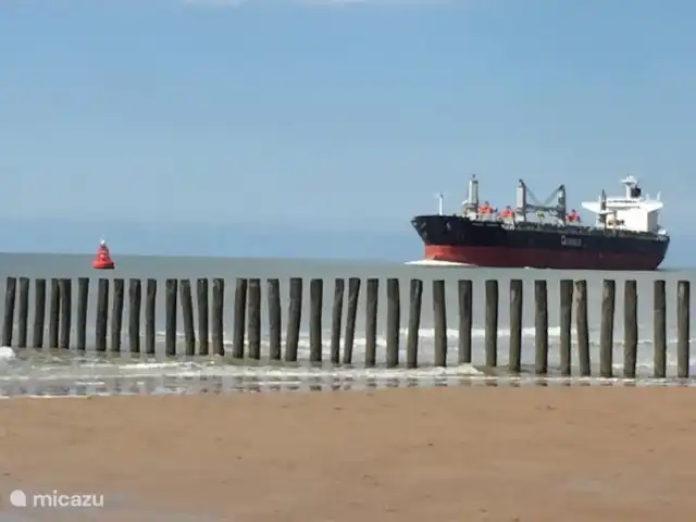 Location de Vacances Pays-Bas, Zélande, Biggekerke, maison de vacances - Maison de vacances Biggekerke Plage de Dishoek